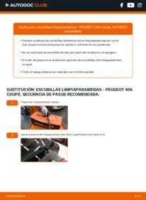 Cómo sustitución de Escobillas de Limpiaparabrisas 2.2 HDI Peugeot 406 Coupé