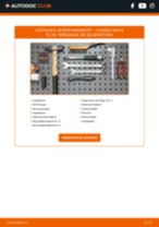 VOLVO 850 Differenzdrucksensor tauschen: Handbuch pdf