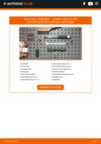 132 Montagesatz Abgasanlage: Schrittweises Handbuch im PDF-Format zum Wechsel