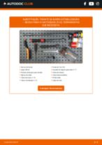 Manual online sobre a substituição de Óleo de direção hidráulica em Skoda Superb 3t