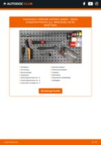 Werkstatthandbuch für ROOMSTER Praktik (5J) 1.4 online