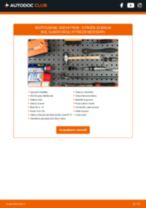 Citroen C1 Prima serie Filtro Antiparticolato sostituzione: tutorial PDF passo-passo