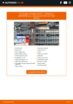 Manual de atelier pentru C2 Enterprise (JG_) 1.4 HDi