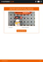 Gloeilamp Koplamp Xenon en LED veranderen PORSCHE 911 Convertible (991): instructie pdf