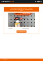 Hoe Kentekenplaatverlichting veranderen en installeren PORSCHE BOXSTER: pdf handleiding