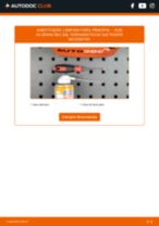 Mudar Lâmpada para Farol Principal Xenon e LED AUDI A4 (8K2, B8): guia pdf