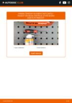 Podrobný PDF tutorial k výmene PEUGEOT Hoggar Pickup Podbeh