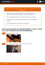 Manual online sobre el cambio de Escobilla limpiaparabrisas por su cuenta en AUDI TT (FV3)