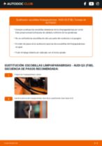 PDF manual sobre mantenimiento Q3 (F3B) 45 TFSI quattro