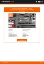 Werkstatthandbuch für A1 Sportback (GBA) 30 TFSI online