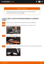 Cómo cambiar y ajustar Escobillas de limpiaparabrisas SEAT ALTEA: tutorial pdf