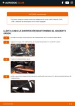Cómo cambiar: escobillas limpiaparabrisas de la parte trasera - SEAT Altea XL (5P5, 5P8) | Guía de sustitución