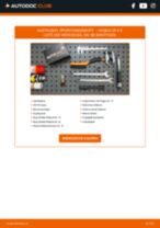 NISSAN Altima IV Coupe (CL32) Reifendruck Kontrollsystem: Schrittweises Handbuch im PDF-Format zum Wechsel