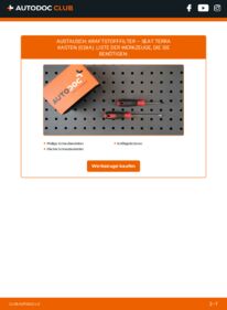 Wie der Wechsel ausgeführt wird: Kraftstofffilter 0.9 SEAT TERRA Box (024A)