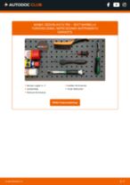 Tiešsaistes rokasgrāmata, kā mainīties Ksenona apgaismojums uz Seat Altea XL