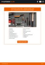 NISSAN ALMERA Reparaturhandbücher für professionelle Kfz-Mechatroniker und autobegeisterte Hobbyschrauber
