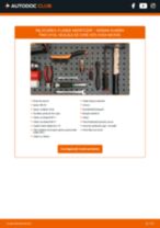 PDF manual pentru întreținere ALMERA TINO (V10) 2.2 dCi