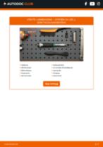 Hur byter man O2-sensor CITROËN C5 I (DC_) - handbok online