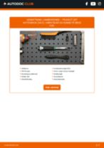 Hvordan skifter man Lambda sensor PEUGEOT 307 (3A/C) - manual online