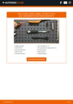 Cómo cambiar Sonda NOx PEUGEOT 307 CC (3B) - manual en línea