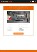 Cambiar Copelas Del Amortiguador TOYOTA RAV4: manual de taller