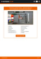 MERCEDES-BENZ CLS Reparaturhandbücher für professionelle Kfz-Mechatroniker und autobegeisterte Hobbyschrauber