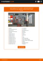 Käsiraamat PDF SLR hoolduse kohta