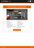 Tiešsaistes rokasgrāmata, kā mainīties Sprieguma regulators uz Ford Grand Tourneo Connect
