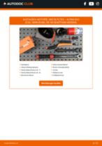 Alpina B5 E60 Lagerung Radlagergehäuse: Schrittweises Handbuch im PDF-Format zum Wechsel