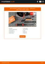 STARK SKOF-0860095 for B12 (E38) | PDF replacing instruction