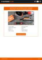 Manuali officina ALPINA B8 gratis: tutorial di riparazione