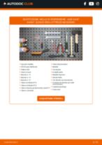 Abarth 595 312 Termostato sostituzione: tutorial PDF passo-passo