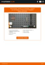 Fiat Idea 350 Kit Cinghie Poly-V sostituzione: tutorial PDF passo-passo