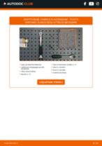 Renaul Captur J5 Kit Cinghie Poly-V sostituzione: tutorial PDF passo-passo