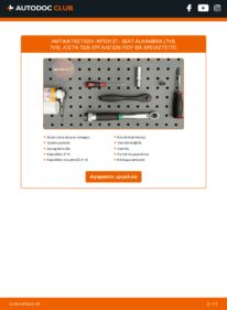 Πώς να πραγματοποιήσετε αντικατάσταση: Μπουζί na Alhambra I (7V8, 7V9) 1.9 TDI