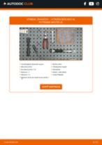 Podrobný PDF tutorial k výmene CITROËN BERLINGO Box (M_) Žhaviaca sviecka