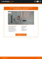 CITROËN BERLINGO Box (M_) Glühkerzen: PDF-Anleitung zur Erneuerung