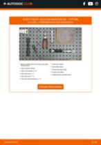 Como mudar e ajustar Velas incandescentes CITROËN C15: tutorial pdf