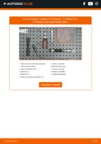 Manuale officina CX II 25 D PDF online