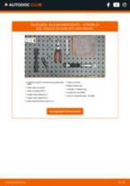 Manual de reparație Сitroën ZX N2 1993 - instrucțiuni pas cu pas și tutoriale