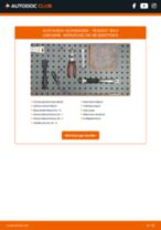 Werkstatthandbuch für 305 II (581M) 1.9 D online
