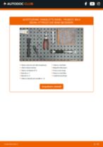 Manuale officina 305 II (581M) 1.9 D PDF online