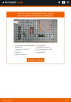 DIY εγχειρίδιο για την αντικατάσταση Προθερμαντήρας στο PEUGEOT 309