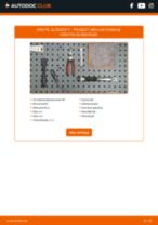 DIY-manual för byte av Tändkablar i PEUGEOT 1007 2023