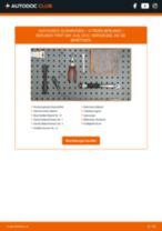 CITROËN BERLINGO (MF) Glühkerzen: Schrittweises Handbuch im PDF-Format zum Wechsel