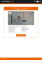 Tiešsaistes rokasgrāmata, kā mainīties Gofrēta Caurule Izplūdes Gāzu Sistēma uz Peugeot Expert Tepee