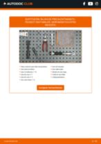 Manual online sobre el cambio de Buje de horquilla por su cuenta en PEUGEOT J5 Box (290L)