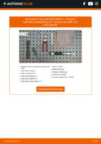 Instalare Bujie incandescenta PEUGEOT cu propriile mâini - online instrucțiuni pdf