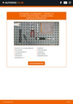 Hoe Gloeistift CITROËN C15 Pritsche / Fahrgestell (VDPD) kunt vervangen - tutorial online