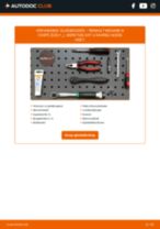 Vervang het Sideskirts van de RENAULT Twingo II Kasten / Schrägheck (CNO_) met onze online pdf-handleiding